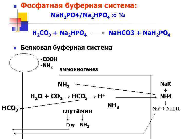 n Фосфатная буферная система: Na. H 2 PO 4/Na 2 HPO 4 ≈ ¼