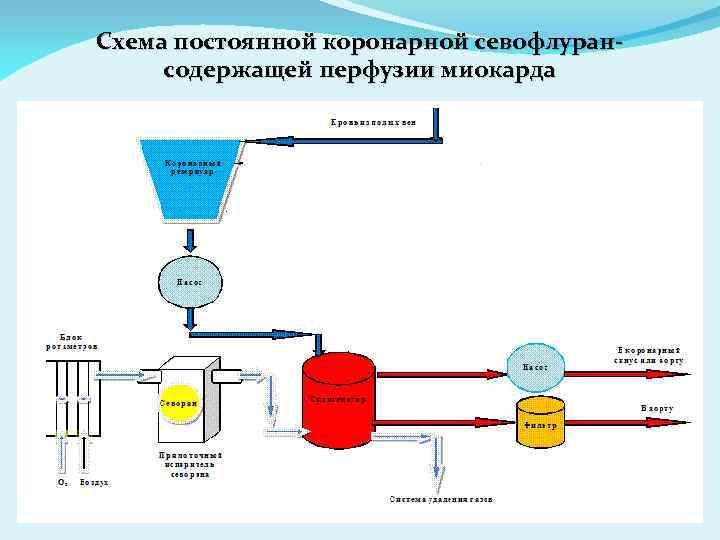 Схема постоянной коронарной севофлурансодержащей перфузии миокарда 