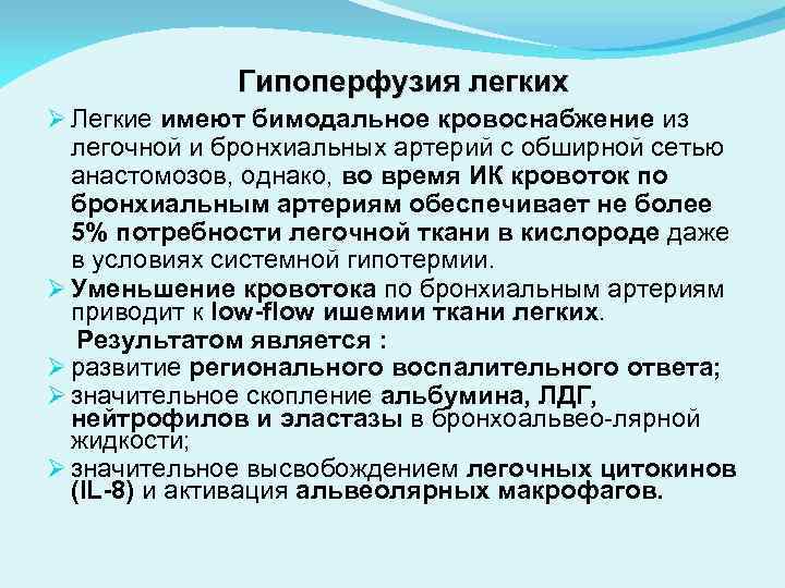 Гипоперфузия легких Ø Легкие имеют бимодальное кровоснабжение из легочной и бронхиальных артерий с обширной