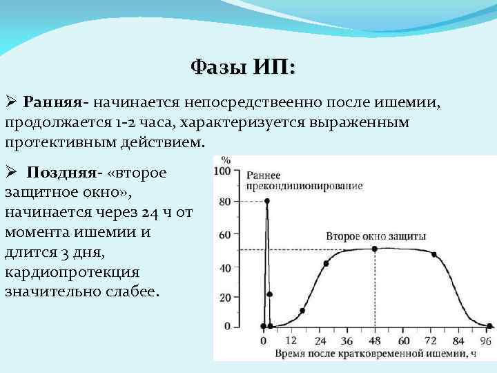 Фазы ИП: Ø Ранняя- начинается непосредствеенно после ишемии, продолжается 1 -2 часа, характеризуется выраженным