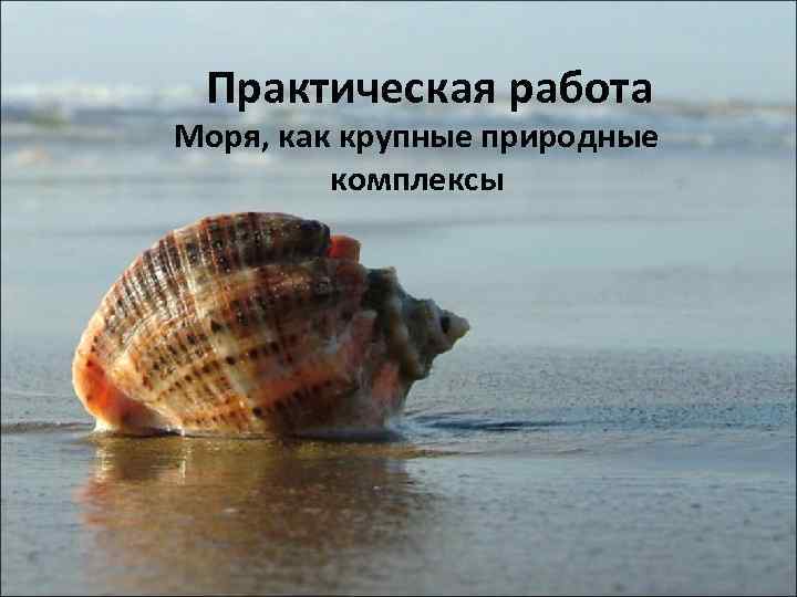 Практическая работа Моря, как крупные природные комплексы 
