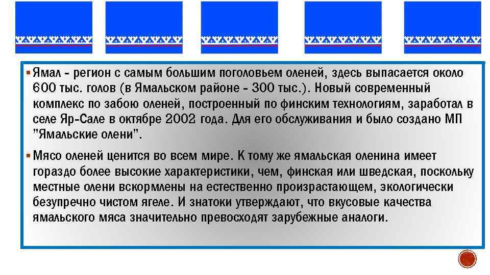 § Ямал - регион с самым большим поголовьем оленей, здесь выпасается около 600 тыс.