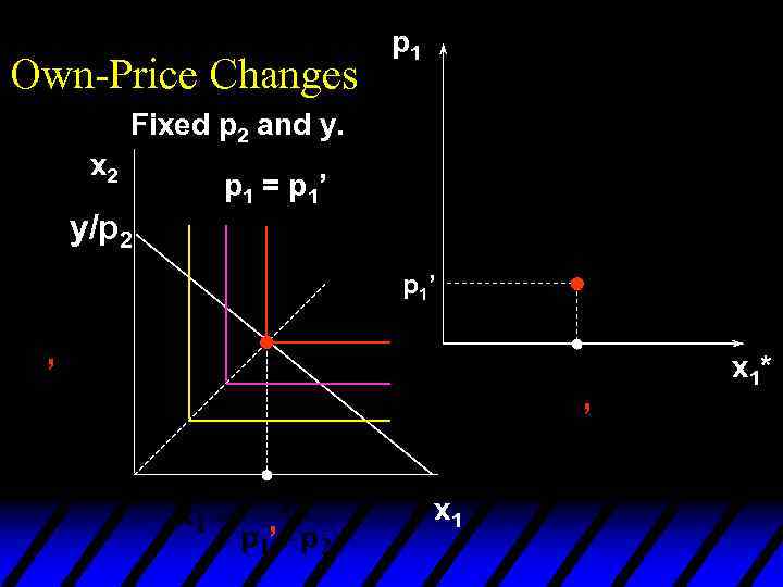 Own-Price Changes p 1 Fixed p 2 and y. x 2 y/p 2 p