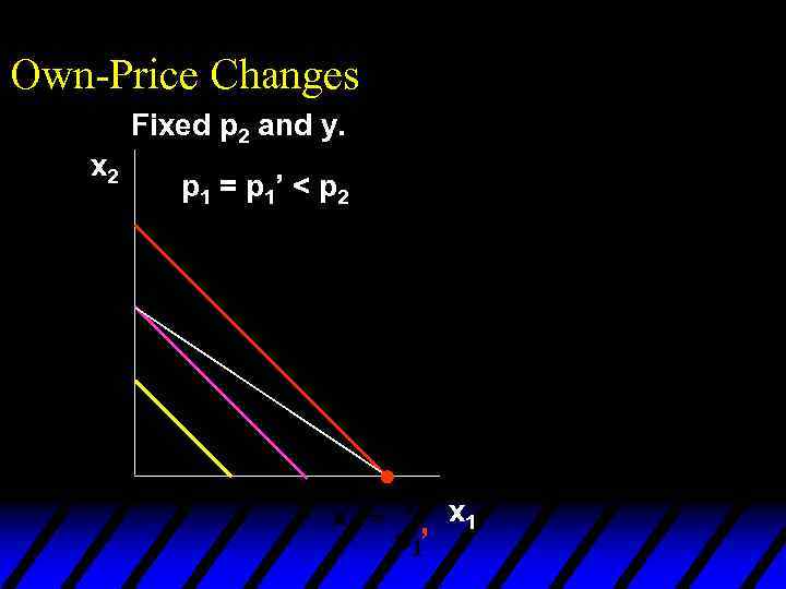 Own-Price Changes Fixed p 2 and y. x 2 p 1 = p 1’