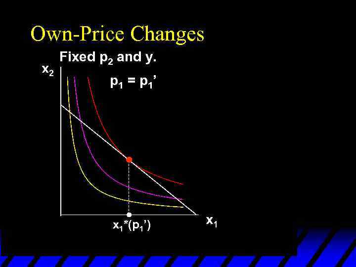 Own-Price Changes Fixed p 2 and y. p 1 = p 1’ x 1*(p