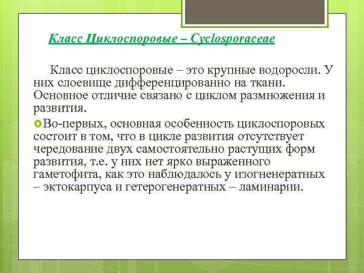 Класс Циклоспоровые – Cyclosporaceae Класс циклоспоровые – это крупные водоросли. У них слоевище дифференцированно