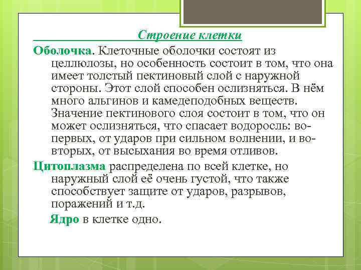 Строение клетки Оболочка. Клеточные оболочки состоят из целлюлозы, но особенность состоит в том, что