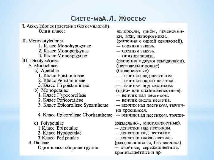 Систе ма. А. Л. Жюссье 