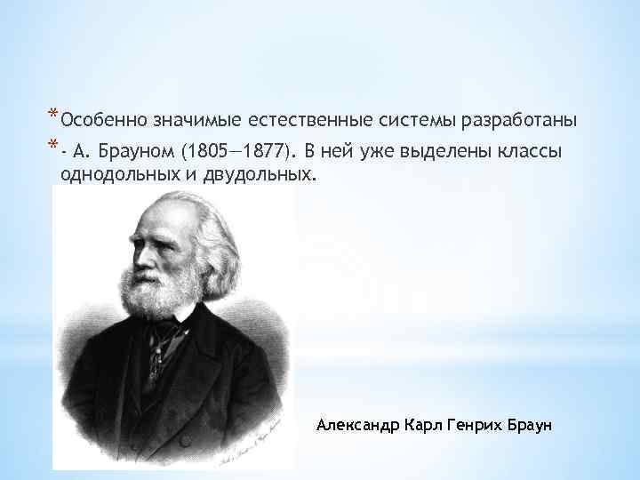 *Особенно значимые естественные системы разработаны *- А. Брауном (1805— 1877). В ней уже выделены