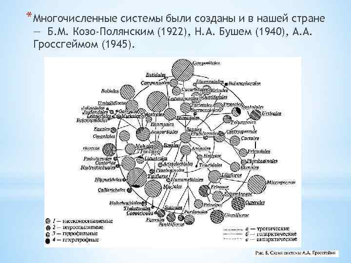 *Многочисленные системы были созданы и в нашей стране — Б. М. Козо-Полянским (1922), Н.