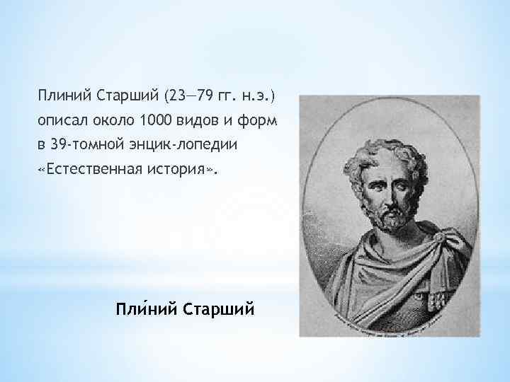 Плиний Старший (23— 79 гг. н. э. ) описал около 1000 видов и форм