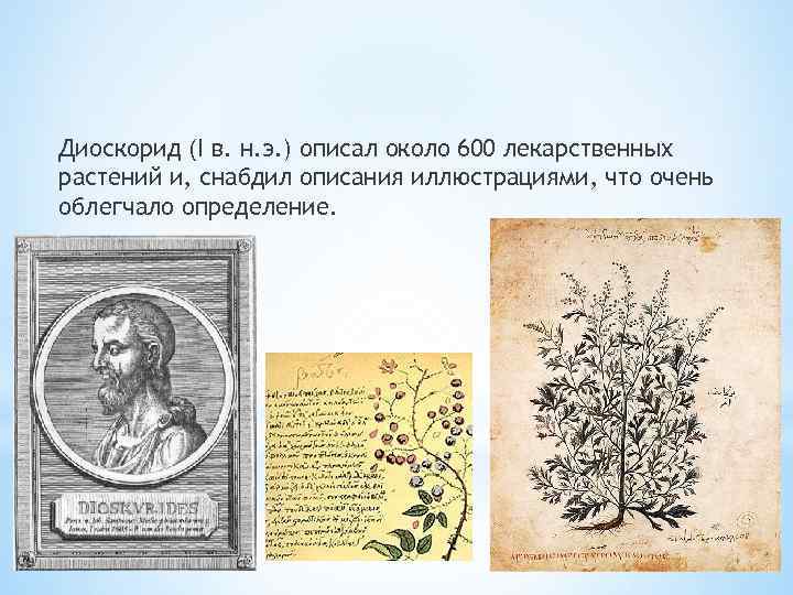 Диоскорид (I в. н. э. ) описал около 600 лекарственных растений и, снабдил описания