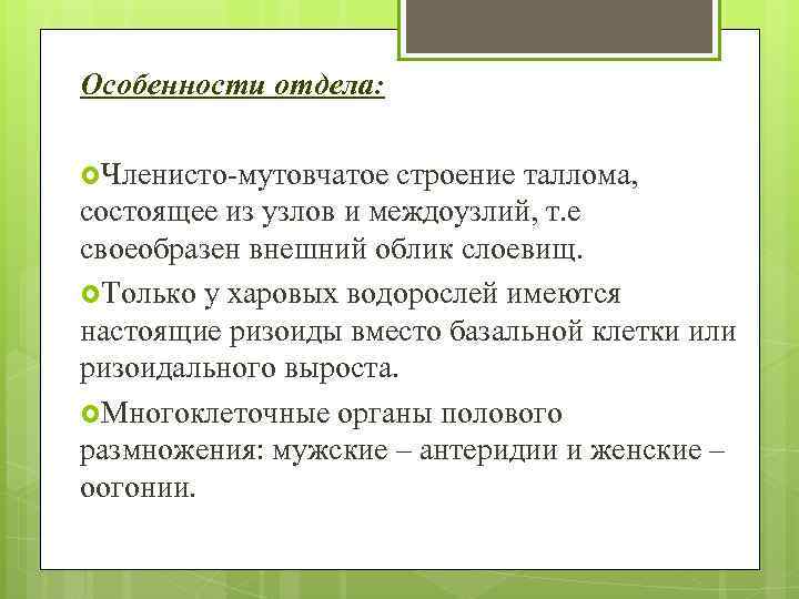 Особенности отдела: Членисто-мутовчатое строение таллома, состоящее из узлов и междоузлий, т. е своеобразен внешний