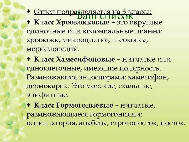 · Отдел подразделяется на 3 класса: Ваш список · Класс Хроококковые – это округлые