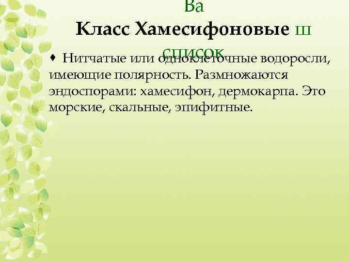 Ва Класс Хамесифоновые ш список Нитчатые или одноклеточные водоросли, · имеющие полярность. Размножаются эндоспорами: