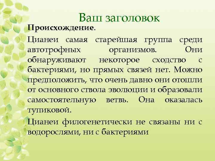 Ваш заголовок Происхождение. Цианеи самая старейшая группа среди автотрофных организмов. Они обнаруживают некоторое сходство