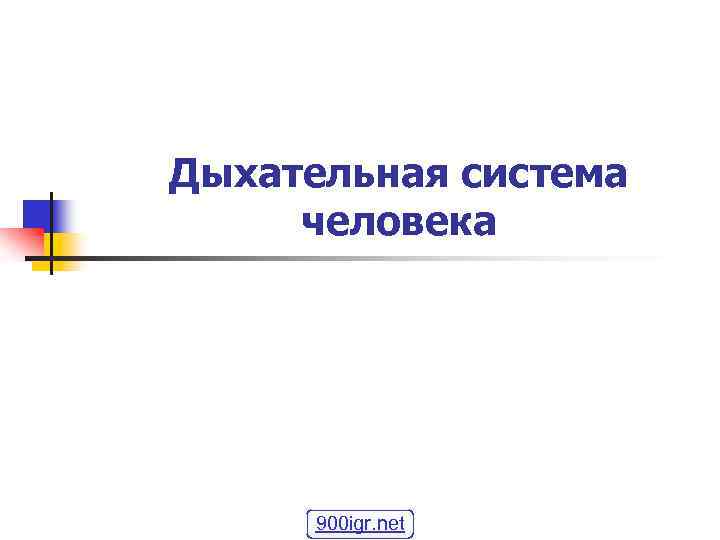 Дыхательная система человека 900 igr. net 