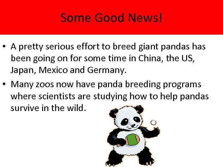 Some Good News! • A pretty serious effort to breed giant pandas has been