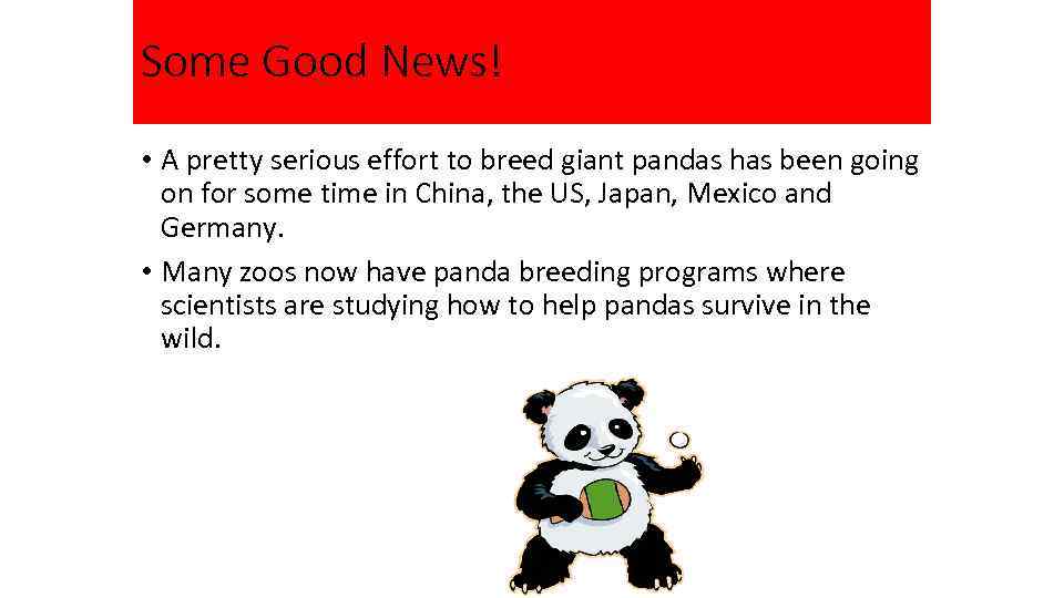 Some Good News! • A pretty serious effort to breed giant pandas has been