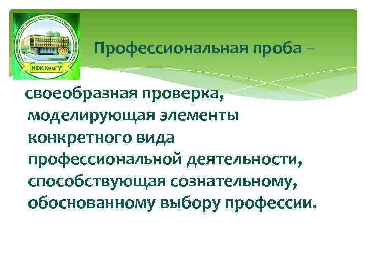 Профессиональная проба – своеобразная проверка, моделирующая элементы конкретного вида профессиональной деятельности, способствующая сознательному, обоснованному