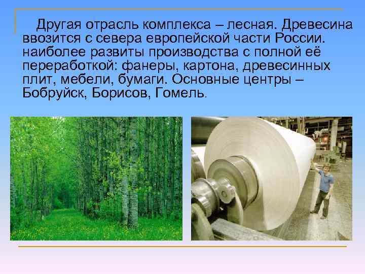 Другая отрасль комплекса – лесная. Древесина ввозится с севера европейской части России. наиболее развиты