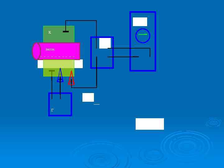 РУ К УБ аксон -----+++++++ -- Г 