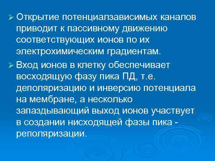 Ø Открытие потенциалзависимых каналов приводит к пассивному движению соответствующих ионов по их электрохимическим градиентам.