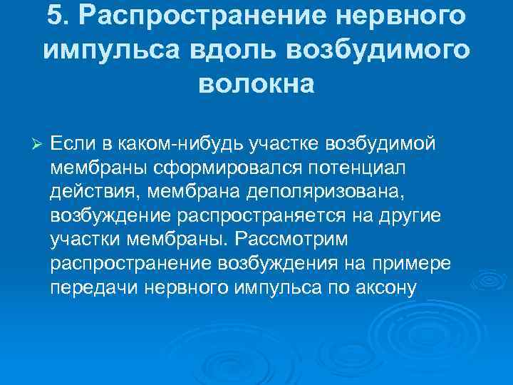 5. Распространение нервного импульса вдоль возбудимого волокна Ø Если в каком нибудь участке возбудимой