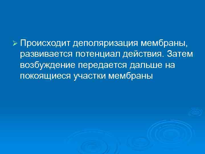Ø Происходит деполяризация мембраны, развивается потенциал действия. Затем возбуждение передается дальше на покоящиеся участки