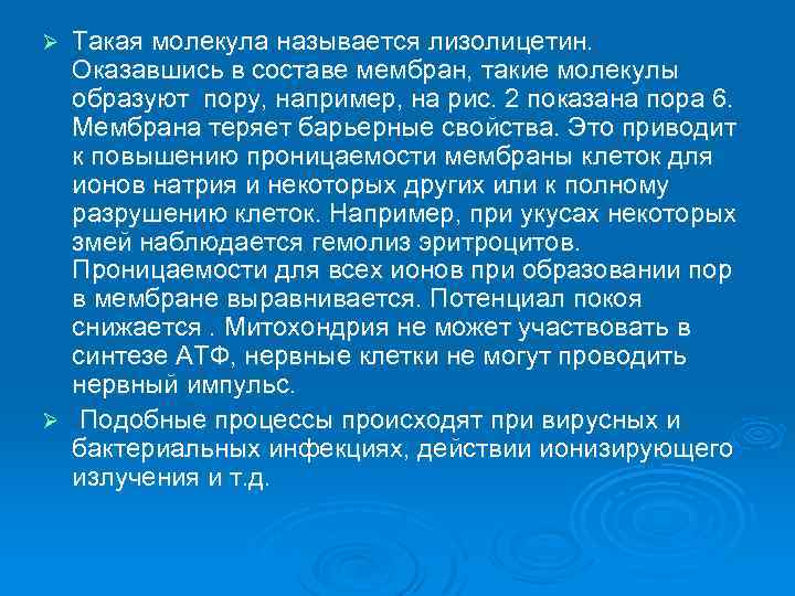 Такая молекула называется лизолицетин. Оказавшись в составе мембран, такие молекулы образуют пору, например, на