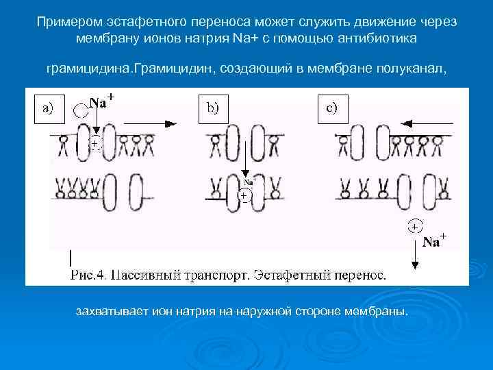 Примером эстафетного переноса может служить движение через мембрану ионов натрия Na+ с помощью антибиотика