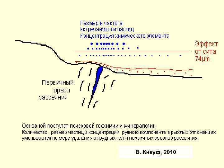 В. Кнауф, 2010 