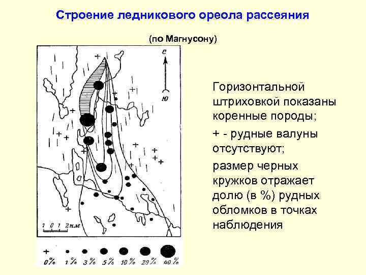 Строение ледникового ореола рассеяния (по Магнусону) Горизонтальной штриховкой показаны коренные породы; + - рудные