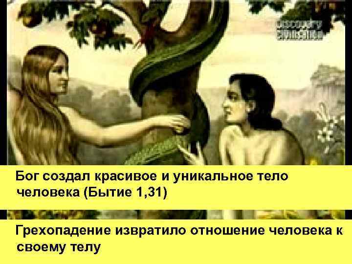 Бог создал красивое и уникальное тело человека (Бытие 1, 31) Грехопадение извратило отношение человека