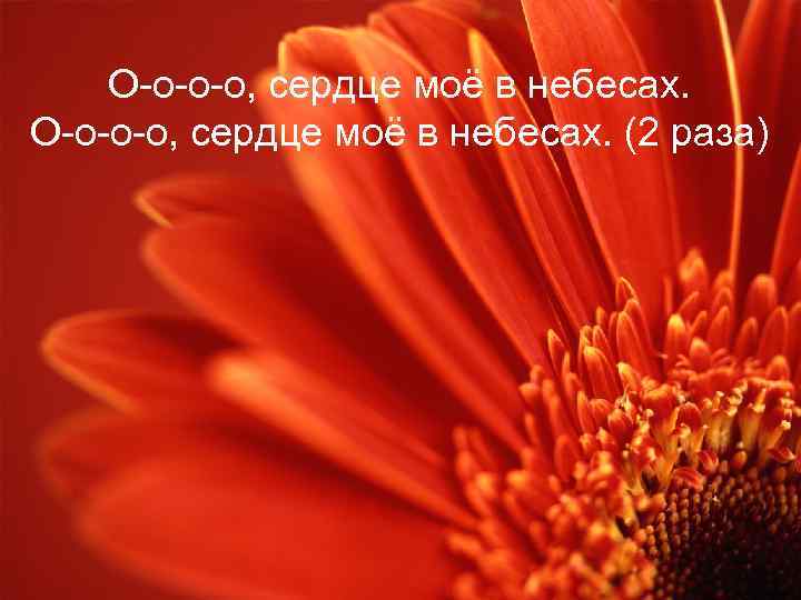 О-о-о-о, сердце моё в небесах. (2 раза) 