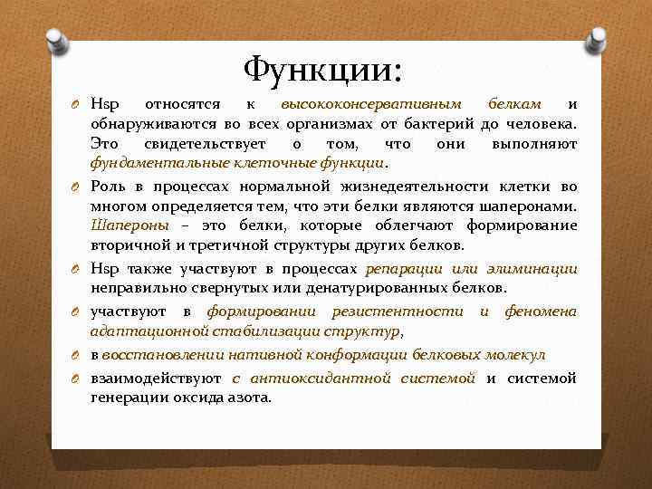 Функции: O Hsp O O O относятся к высококонсервативным белкам и обнаруживаются во всех