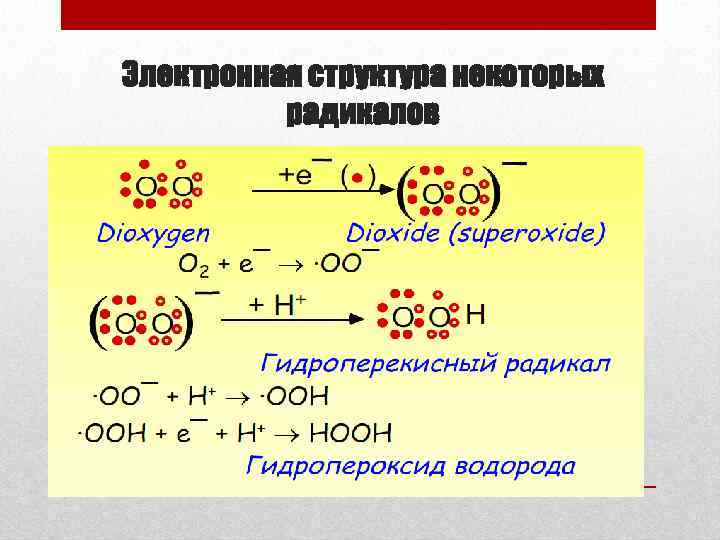 Электронная структура некоторых радикалов 