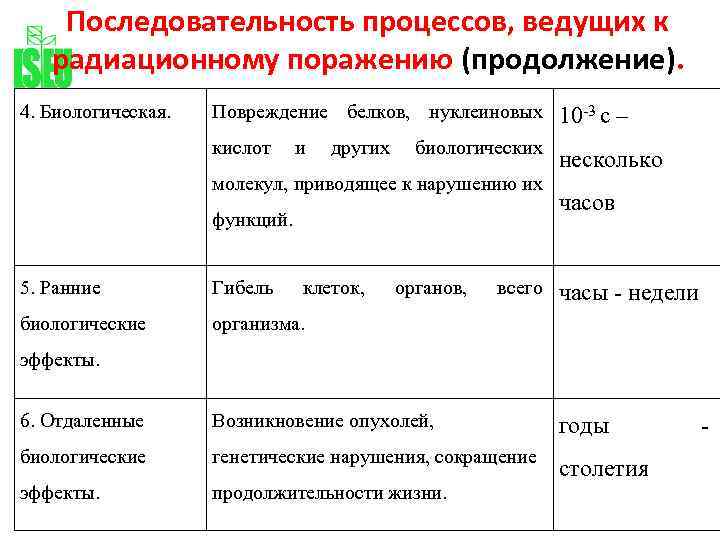 Horizon феноменологические исследования