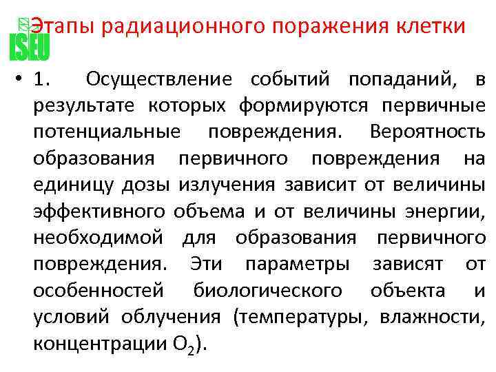 Этапы радиационного поражения клетки • 1. Осуществление событий попаданий, в результате которых формируются первичные