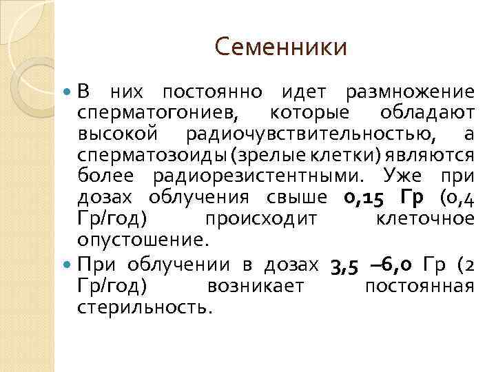 Семенники В них постоянно идет размножение сперматогониев, которые обладают высокой радиочувствительностью, а сперматозоиды (зрелые
