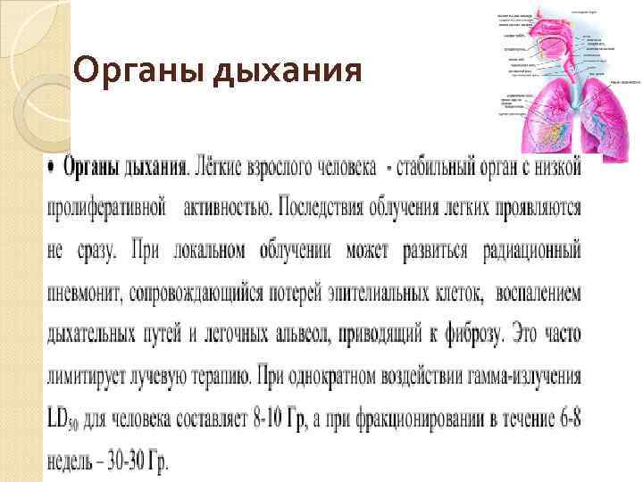 Органы дыхания 