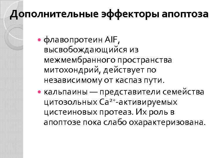 Дополнительные эффекторы апоптоза флавопротеин AIF, высвобождающийся из межмембранного пространства митохондрий, действует по независимому от