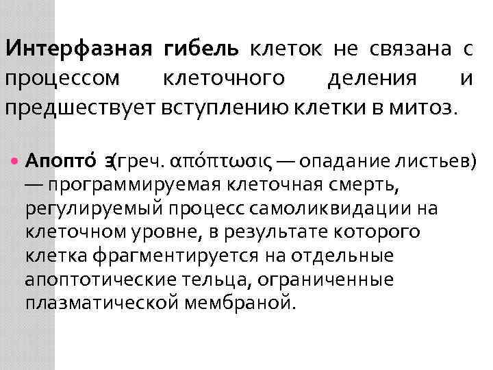 Интерфазная гибель клеток не связана с процессом клеточного деления и предшествует вступлению клетки в