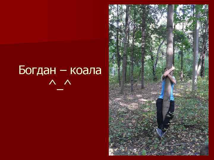 Богдан – коала ^_^ 