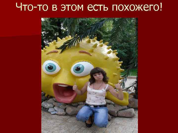 Что-то в этом есть похожего! 