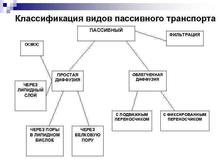 Классификация видов пассивного транспорта ПАССИВНЫЙ ФИЛЬТРАЦИЯ ОСМОC ЧЕРЕЗ ЛИПИДНЫЙ СЛОЙ ПРОСТАЯ ДИФФУЗИЯ ОБЛЕГЧЕННАЯ ДИФФУЗИЯ