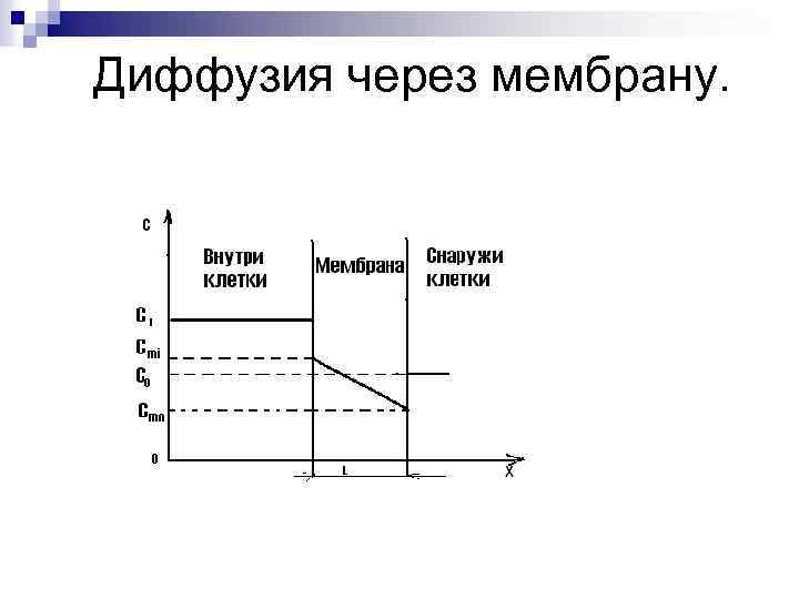 Диффузия через мембрану. 