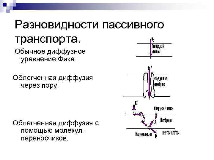 Разновидности пассивного транспорта. Обычное диффузное уравнение Фика. Облегченная диффузия через пору. Облегченная диффузия с