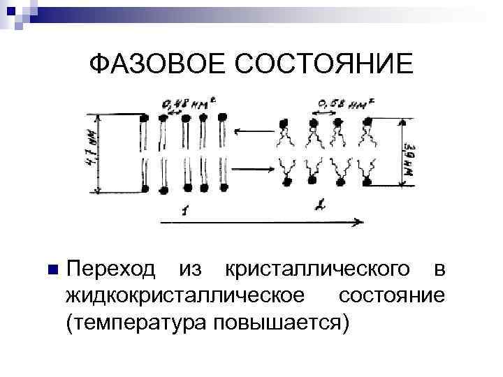 ФАЗОВОЕ СОСТОЯНИЕ n Переход из кристаллического в жидкокристаллическое состояние (температура повышается) 