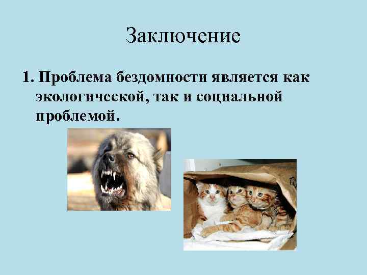 Заключение 1. Проблема бездомности является как экологической, так и социальной проблемой. 